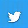 X (formerly Twitter) icon